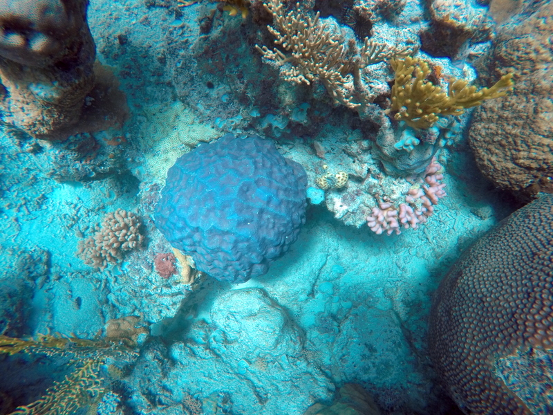 DCIM100GOPROGOPR0357.